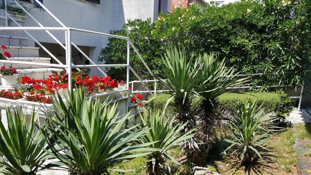 Apartments Mirjana Новий Винодольський Екстер'єр фото